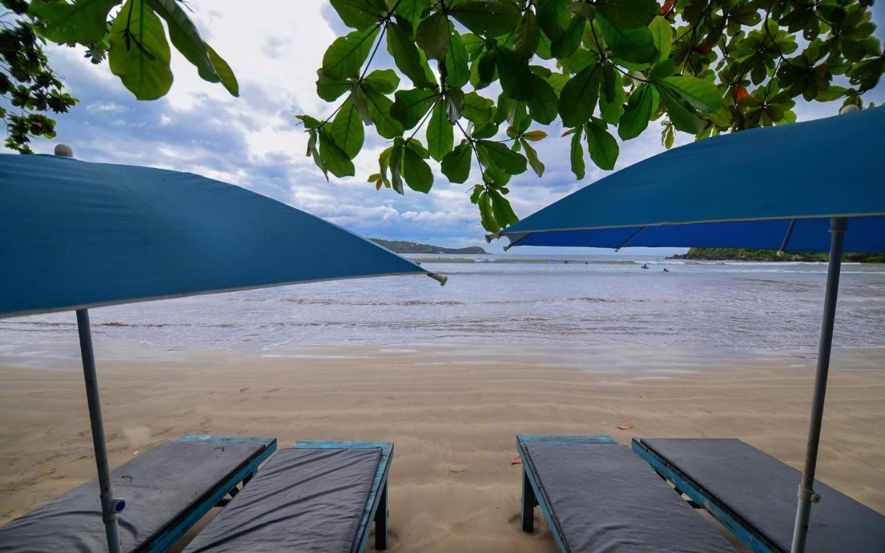 Palm Leaf Surf Cafe Hotel Galle Ngoại thất bức ảnh
